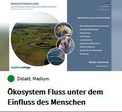 Cover des Mediums